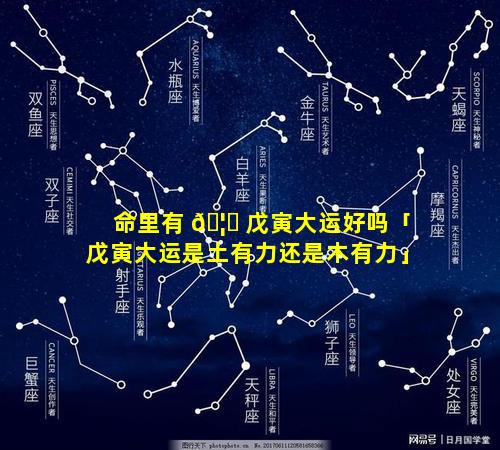 命里有 🦈 戊寅大运好吗「戊寅大运是土有力还是木有力」